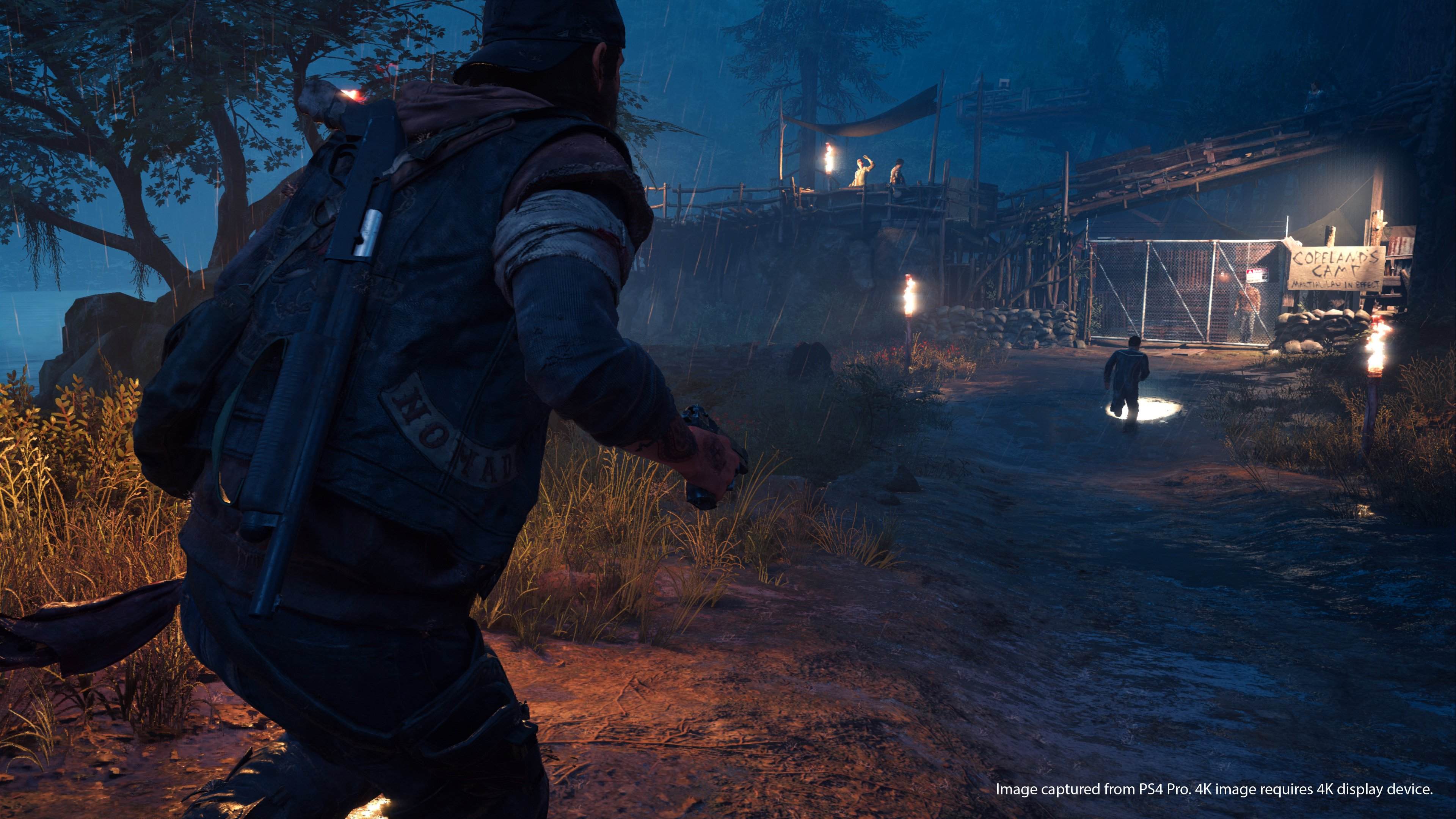 Days Gone - Imagen 49